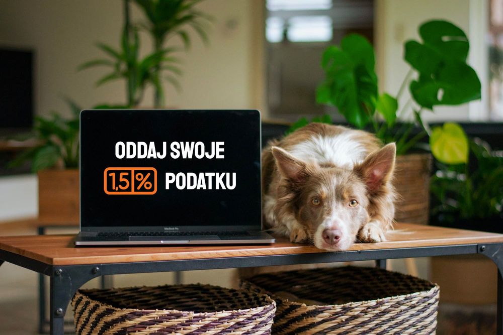 Deklaracja 1,5% podatku od emerytury/renty (PIT-OP)
