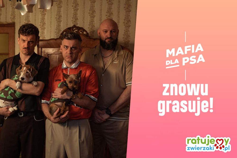 Znów, w niewyjaśnionych okolicznościach, pojawiają się ONI...