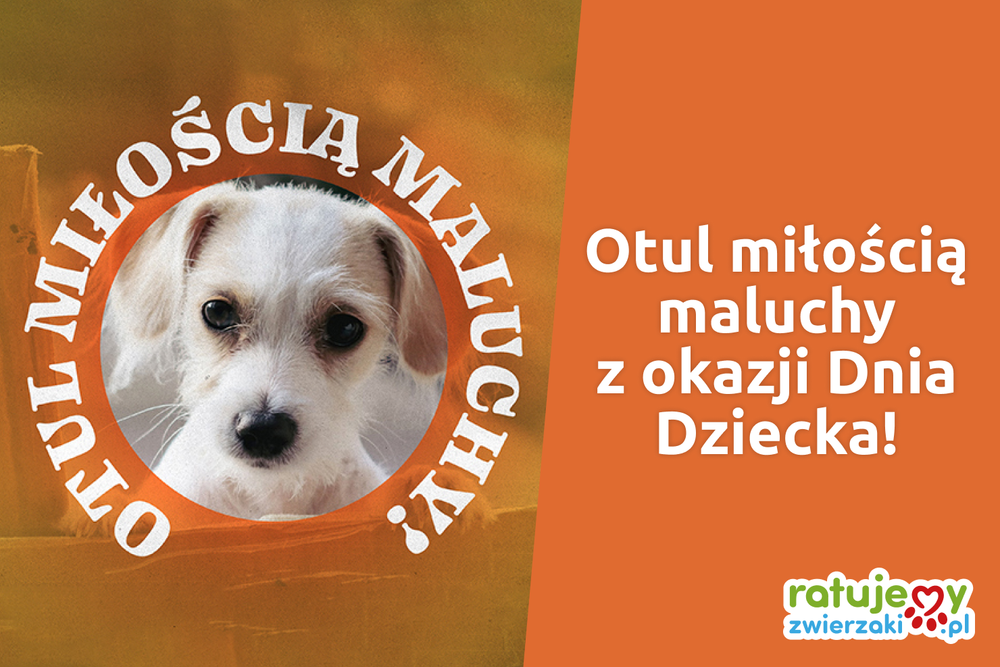 Weź udział w naszej akcji "Otul miłością maluchy" z okazji Dnia Dziecka!