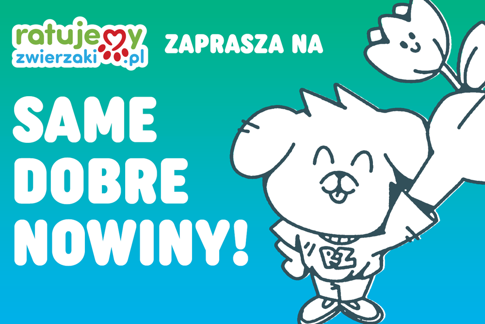 Zobacz, jak razem zmieniamy życie zwierząt!