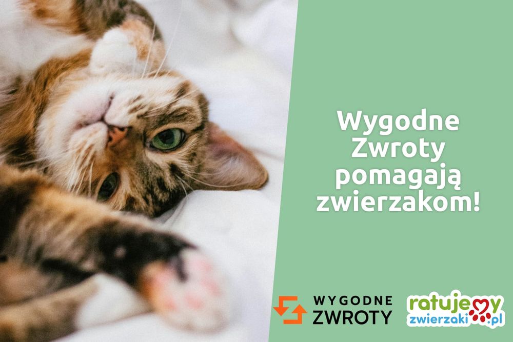 Dobro, które wraca 💚