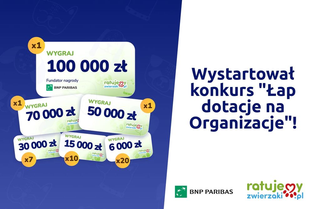 RatujemyZwierzaki.pl przekazuje dotacje dla zwierząt w potrzebie! Pula nagród wynosi 700 000 zł!