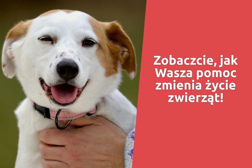 Kiedy dobro wygrywa!