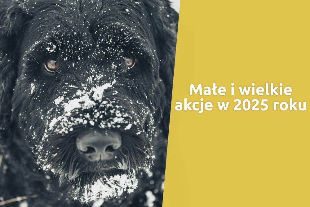 Dla tych, którzy nie mają głosu – podsumowanie naszych akcji w 2025 roku