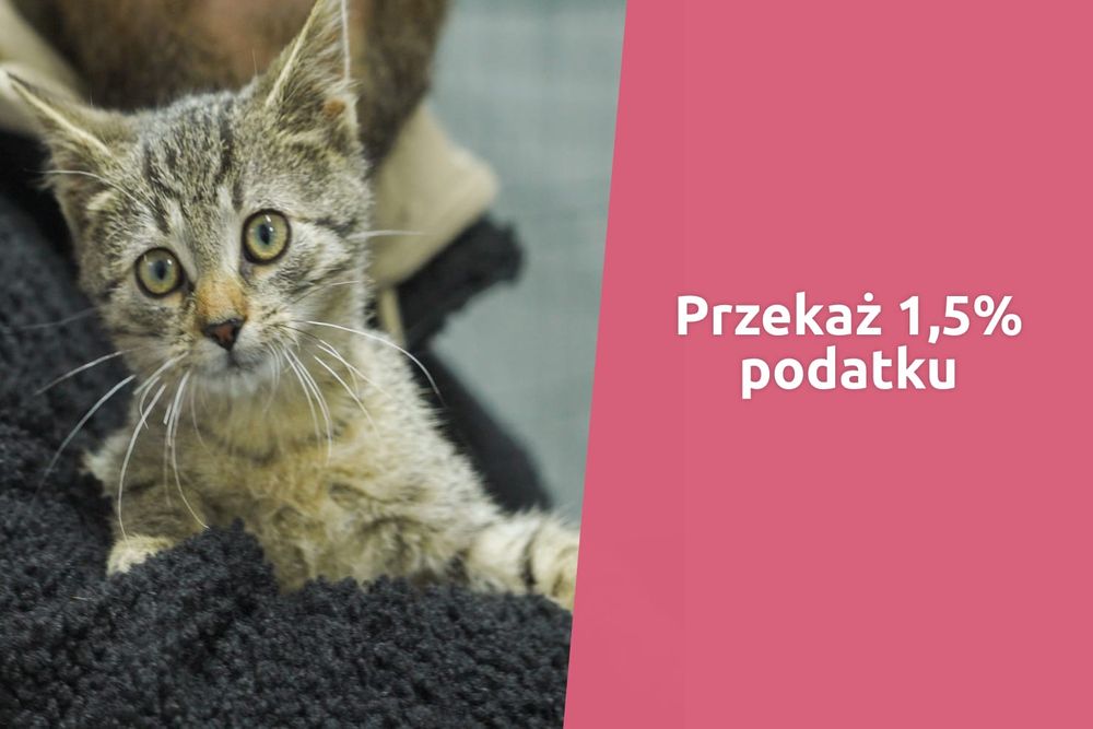 Zrób coś dobrego podczas rozliczenia PIT