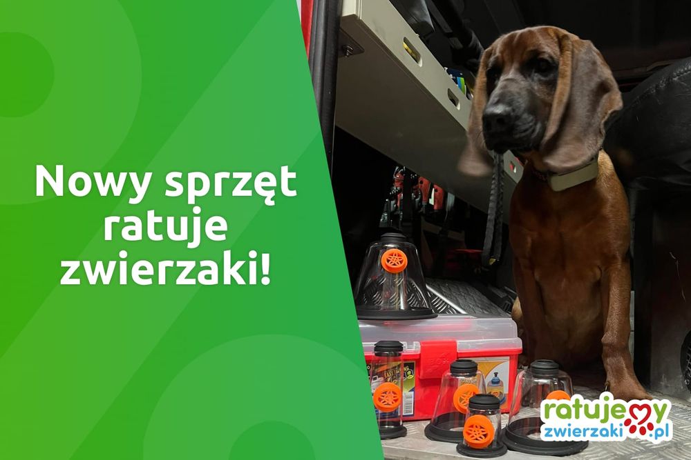 Kupiliśmy strażakom maski tlenowe dla zwierząt 🚒