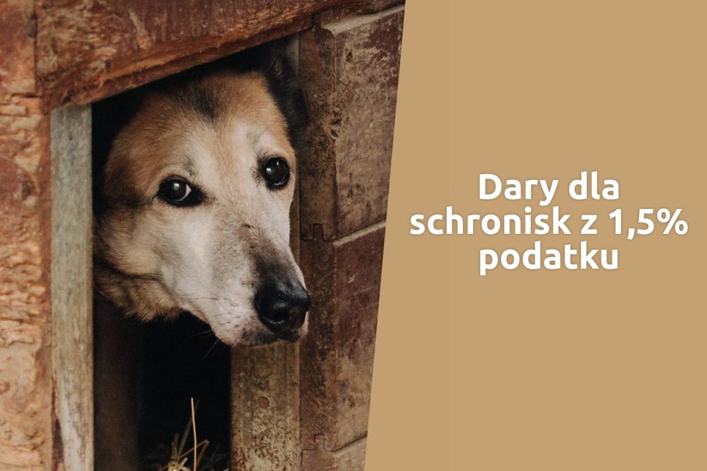 1,5% podatku pomogło przetrwać największe mrozy