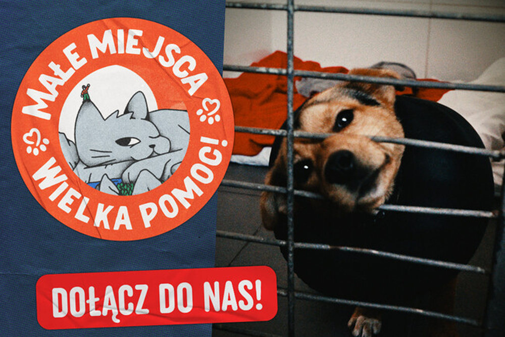 Wspieramy tych, którzy bardzo tego potrzebują!