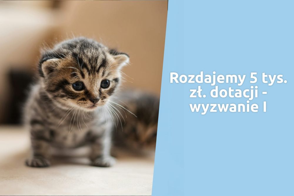 Wybierz, do kogo trafi mała dotacja o wartości 5 tys. zł!