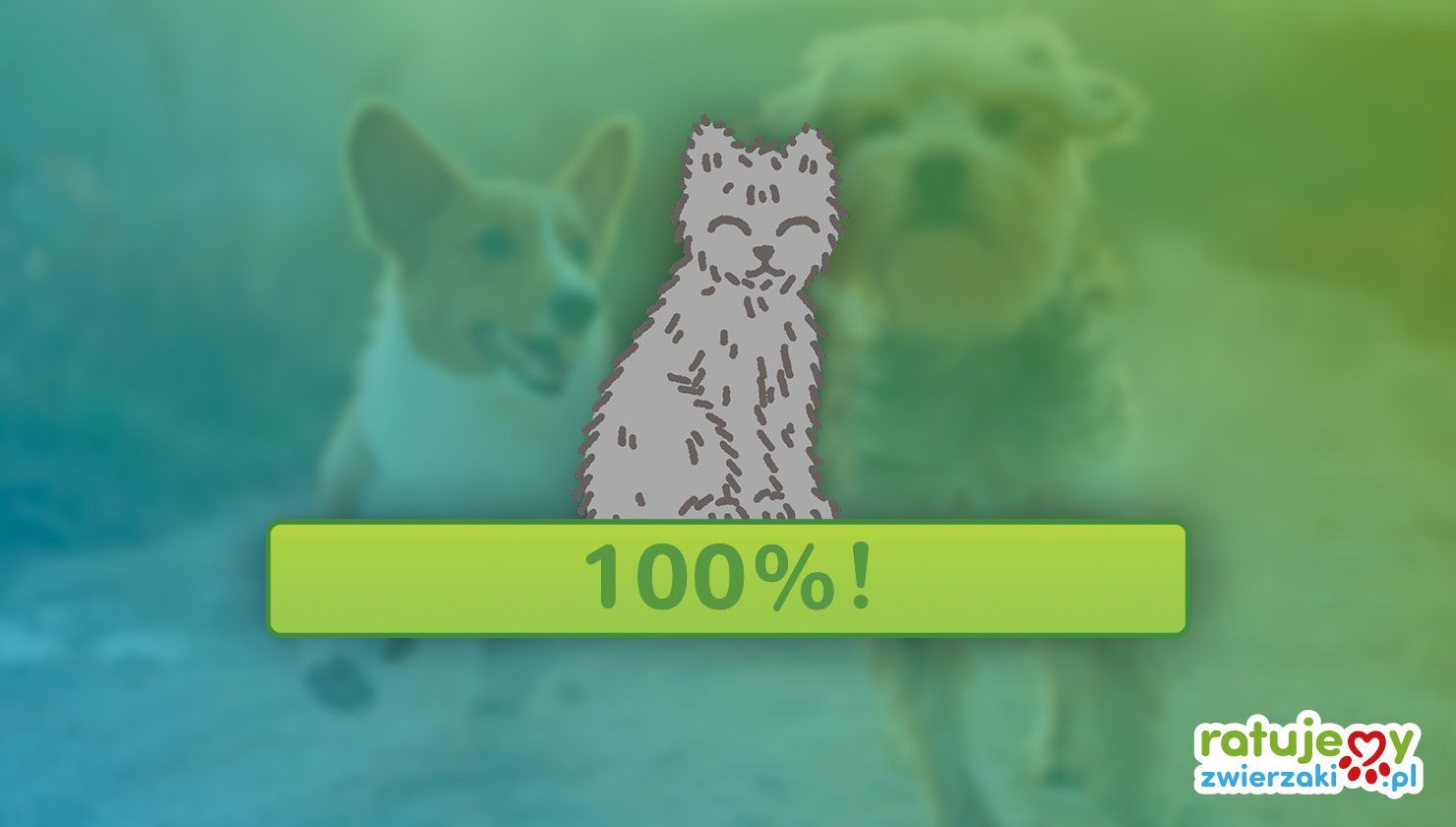 Zobacz najbardziej niezwykłe zbiórki, które zakończyły się 100% sukcesem!