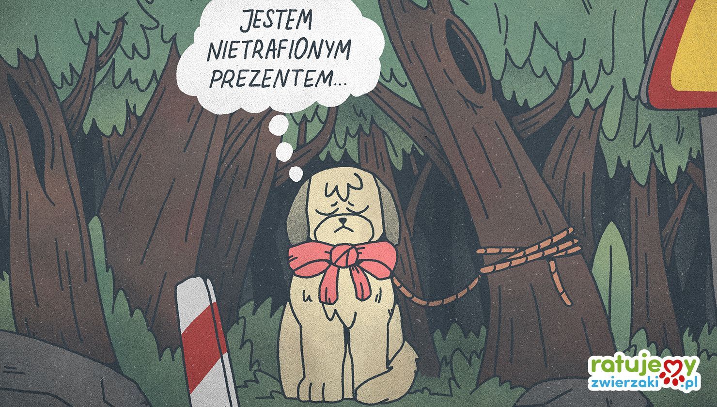 Zwierzę to nie prezent! Wywiad z Magdą Kordas z Fundacji Mikropsy