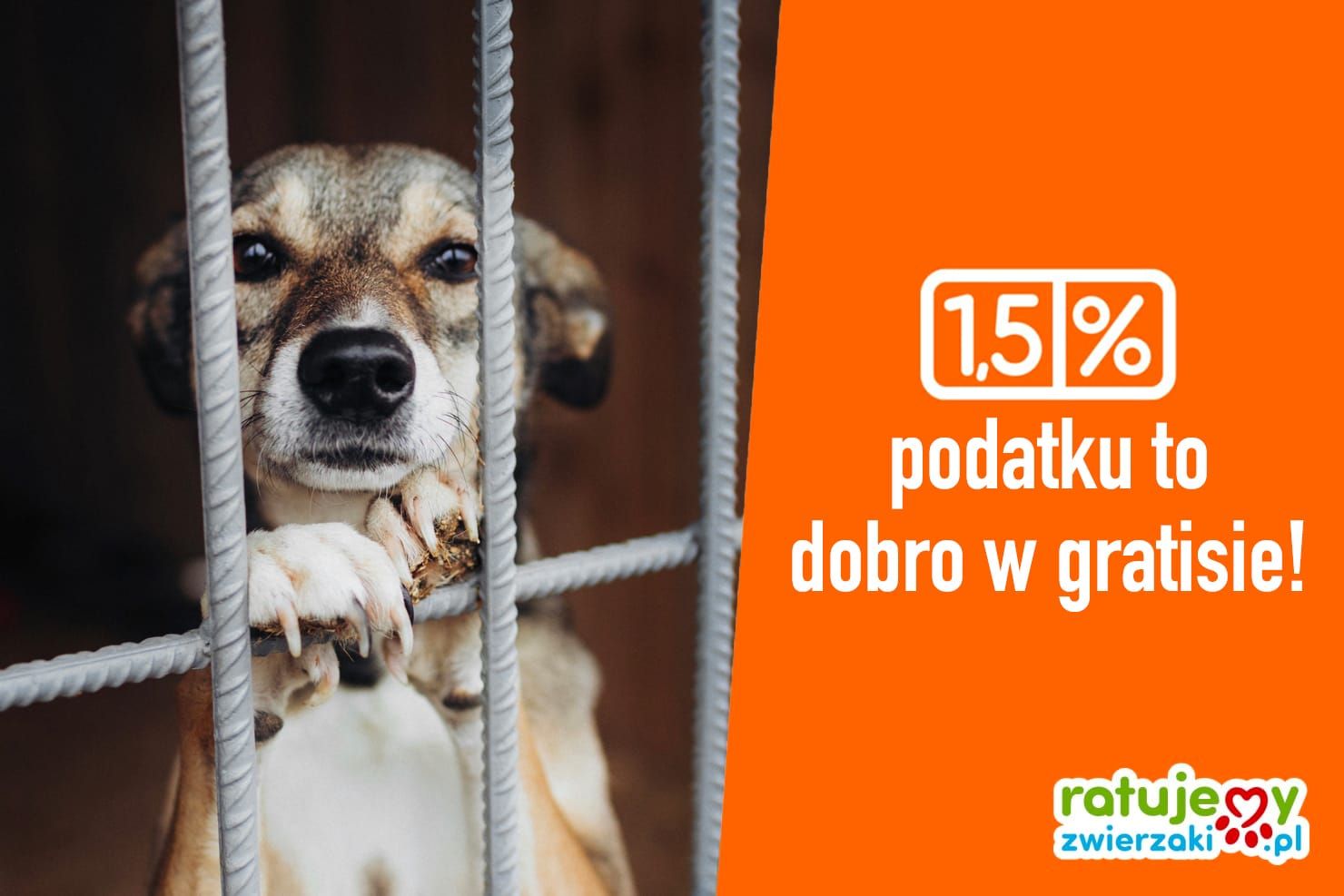 Jak przekazać 1,5% podatku? Najczęściej zadawane pytania!