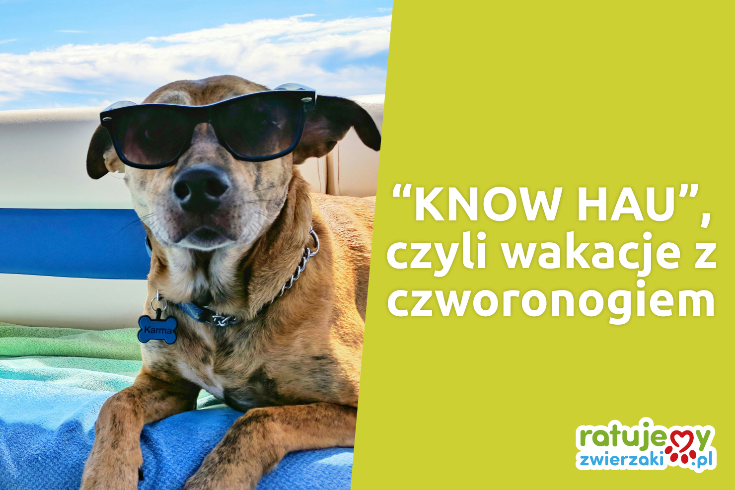 Zwierzak w podróży!