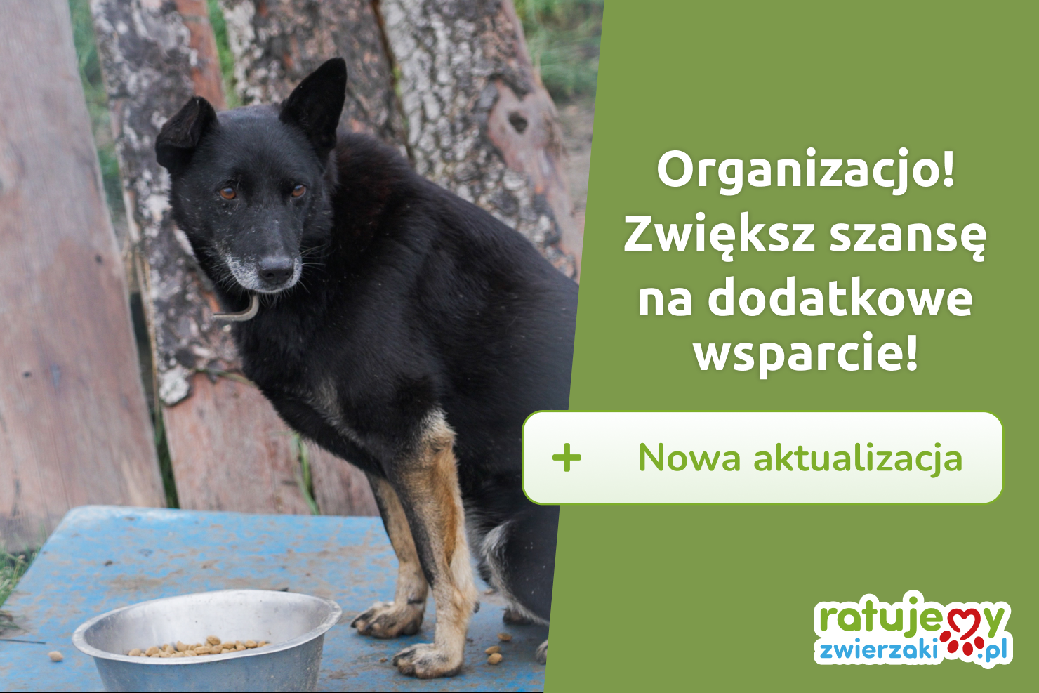 Aktualizacje zbiórek – buduj relację z Darczyńcami!