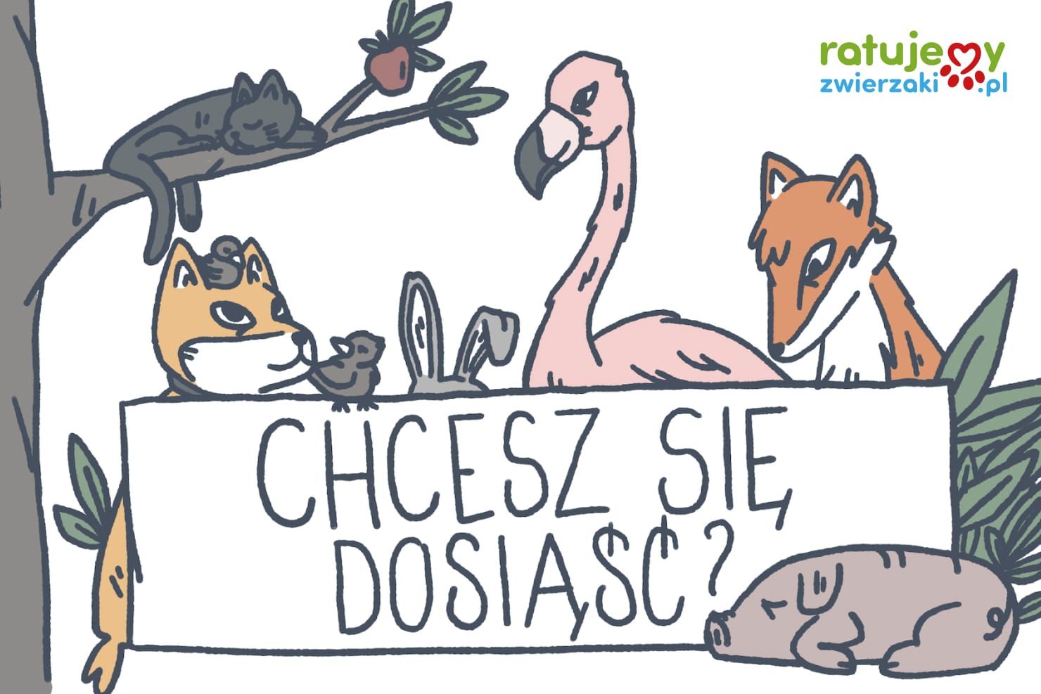 Kto może zbierać środki na portalu RatujemyZwierzaki.pl?