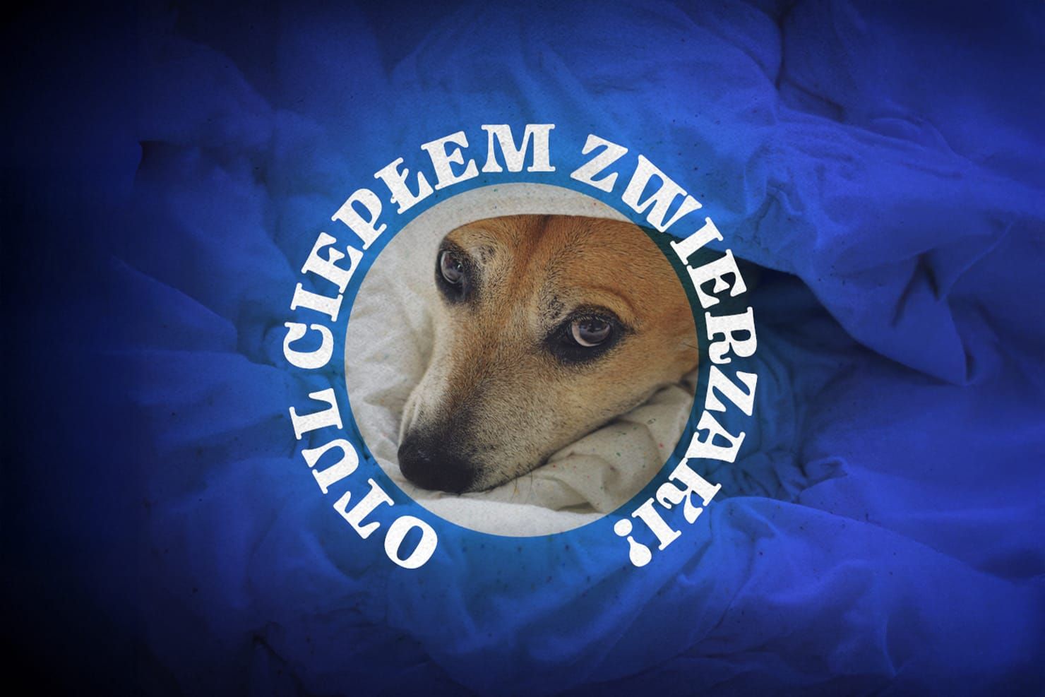 Weź udział w akcji "Otul ciepłem zwierzaki" z okazji Światowego Dnia Zwierząt!