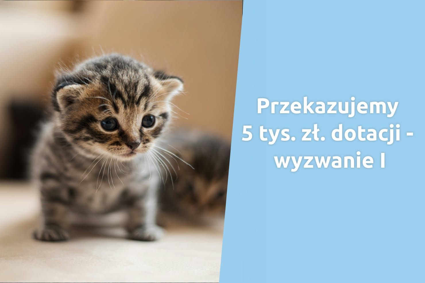 Wybierz, do kogo trafi mała dotacja o wartości 5 tys. zł!