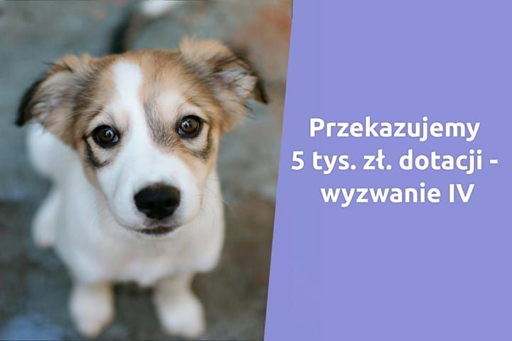 Wspólnie doceńmy bohaterów zwierząt - zagłosuj do kogo ma trafić 5 000 zł!
