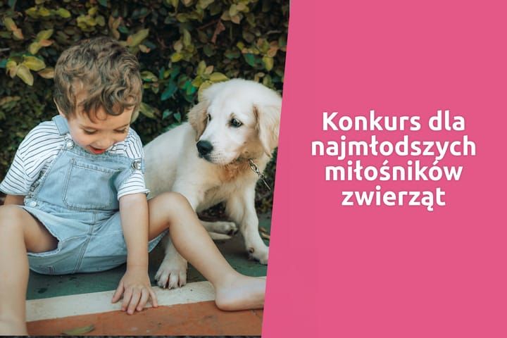 Dzień Dziecka ze Zwierzakami!
