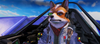 A gruff fox in flight gear sits in the cockpit of an Arwing, looking at the horizon beyond.