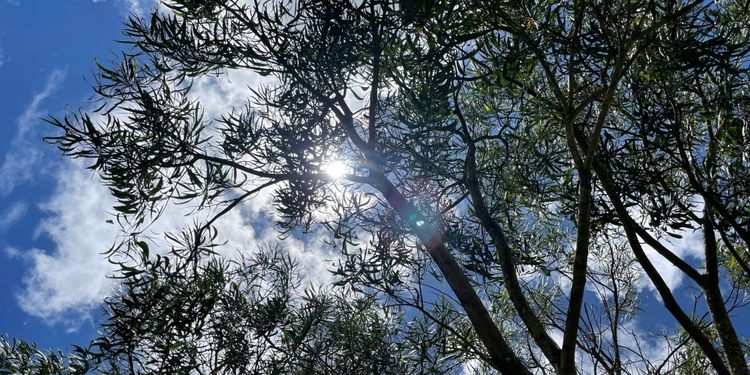 Scared + Doing it Anyway