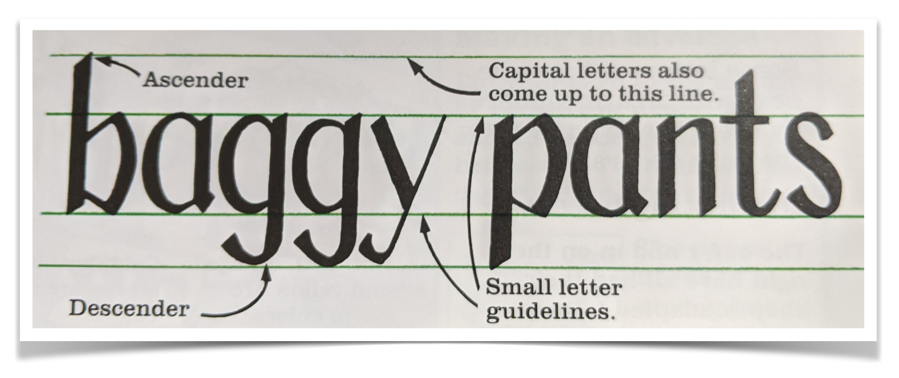 The Anatomy of Letters: A Pop-Up Class