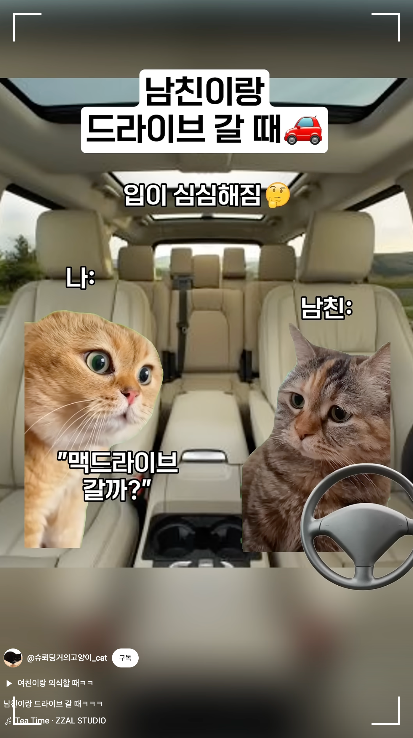 밈움짤 사용사례 출처 : 슈뢰딩거의고양이_cat