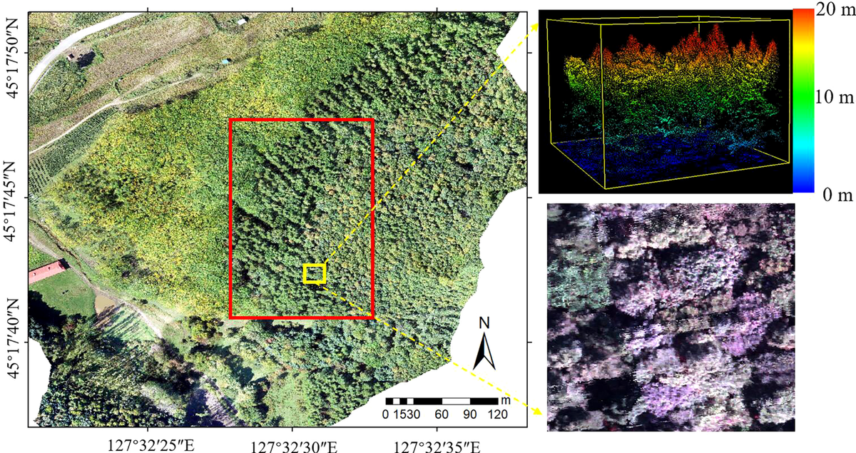 Forest Species Mapping Figure close up of a species mapping region
