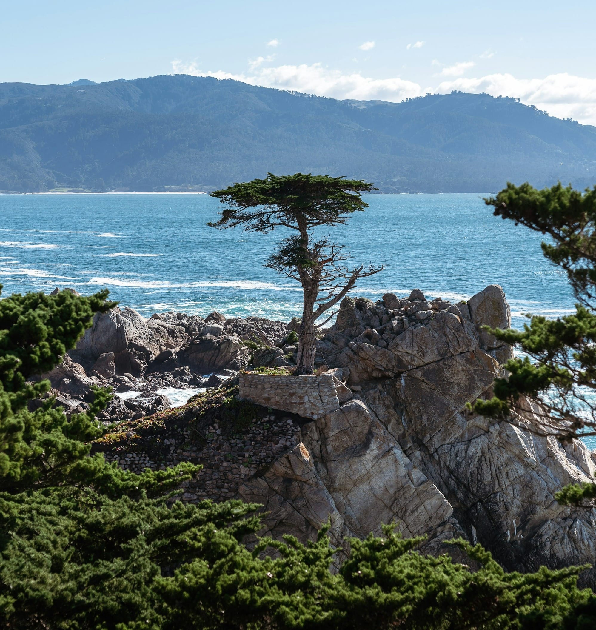 TNC to create response and resilience program, seeks a program manager