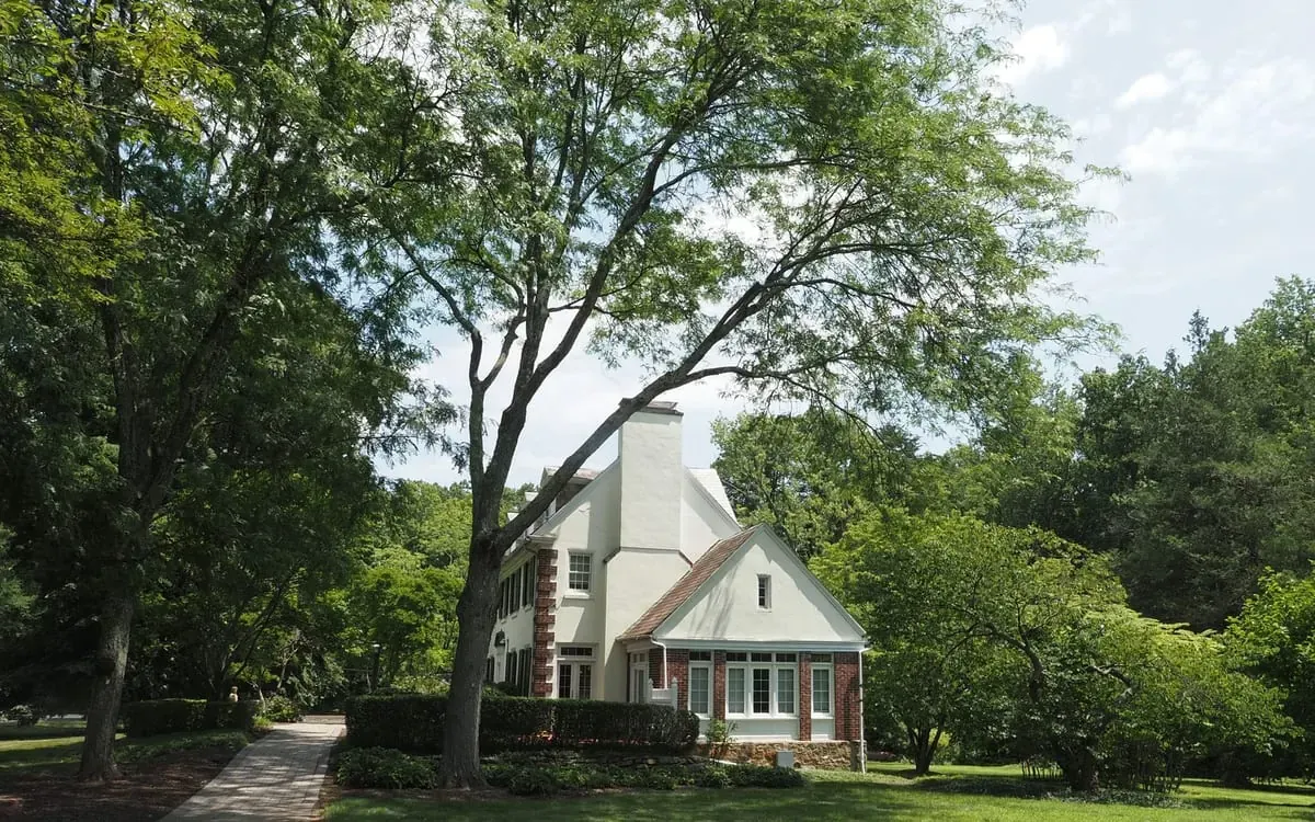 A white house with a brick chimney among mature shade trees