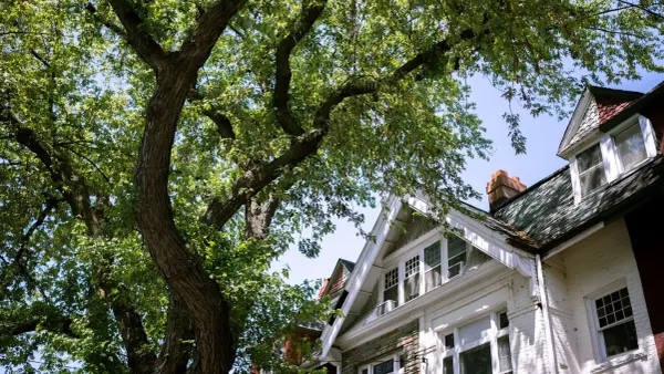 A white painted-brick house seen from below through the branches of a large tree