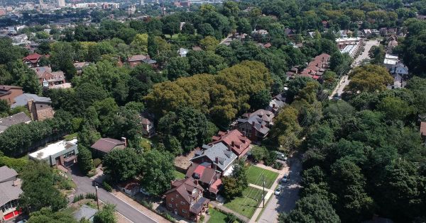 Aerial view of an older neighborhood of brick and gabled houses among tall, mature trees, with a road and parked cars in the foreground