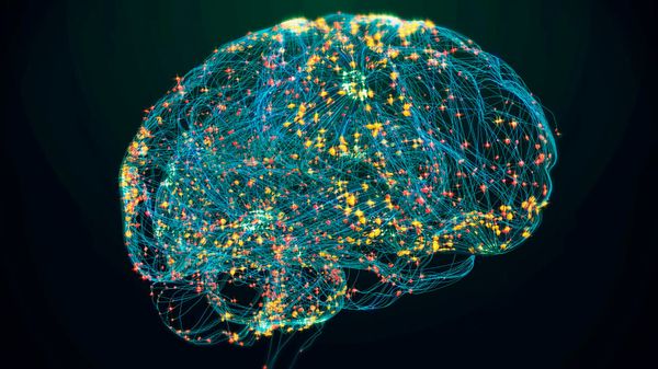 human brain scan showing brain activity