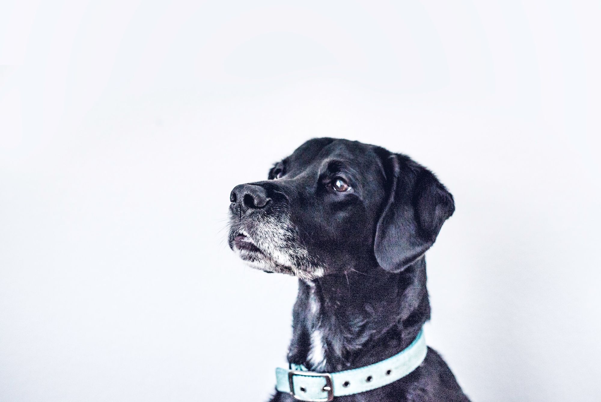 A Call for Critical Instructional Design