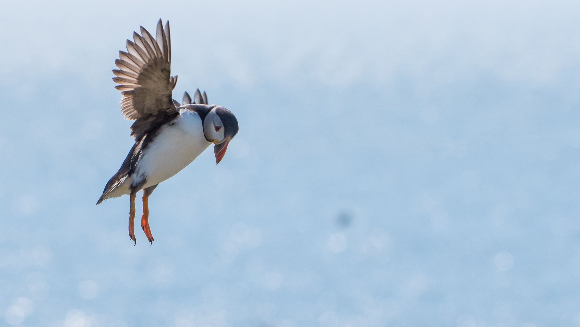 The Production of Tomorrow