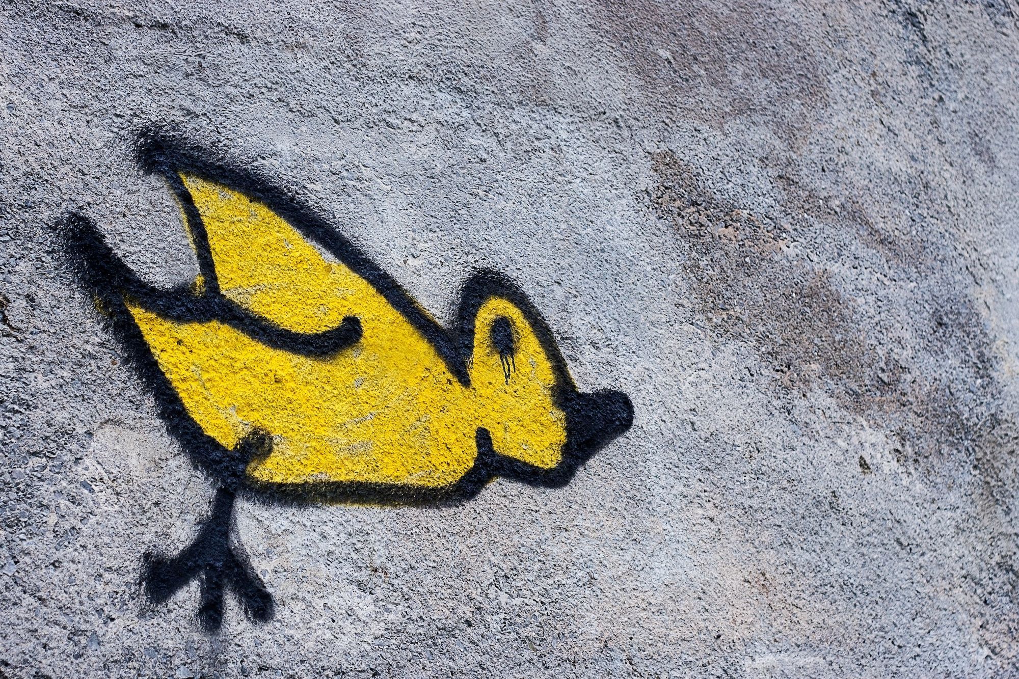 Cacophony: Open Ed, Digital Pedagogy Lab, and the Challenge of Education Conferences