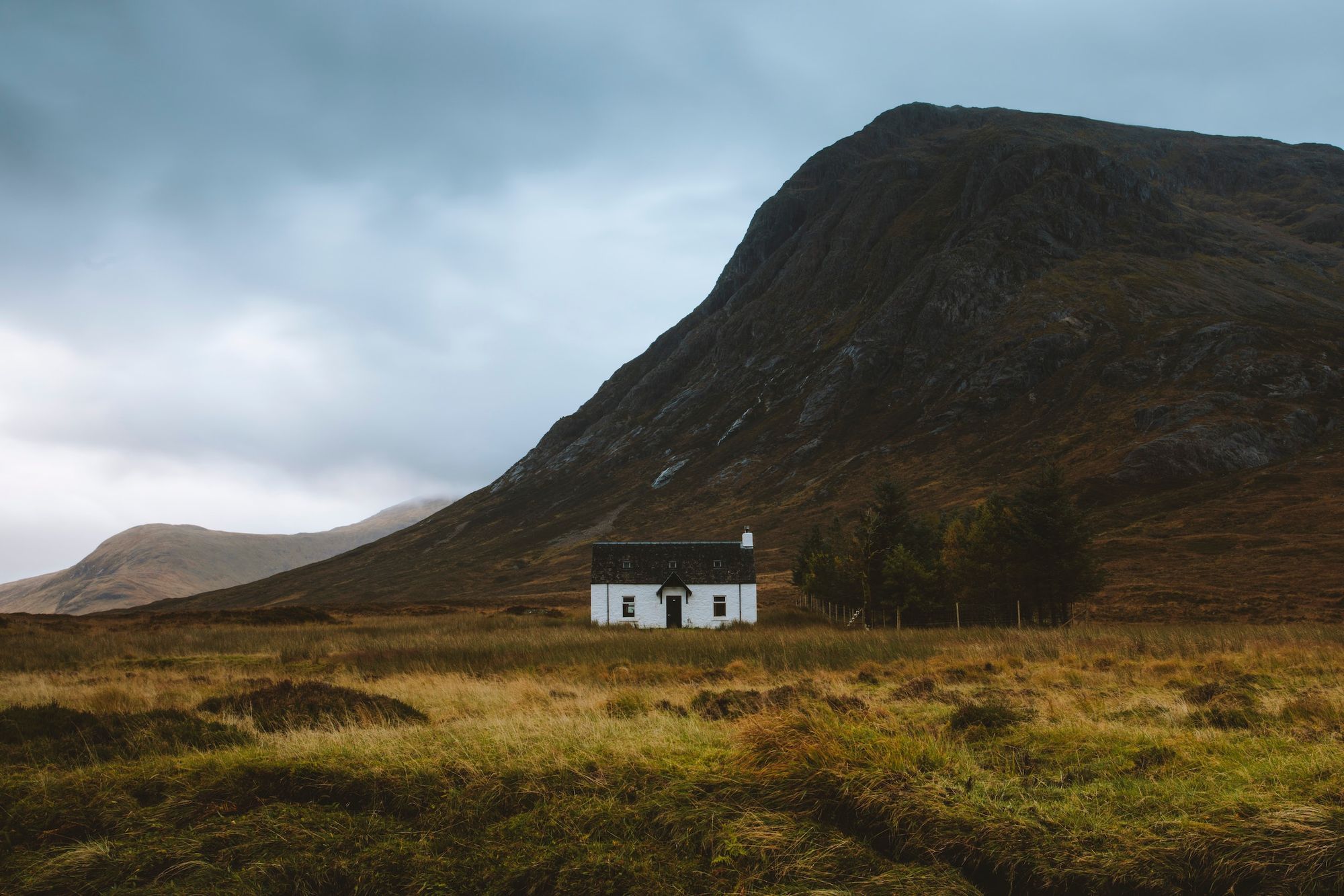 Fostering Care and Community at a Distance