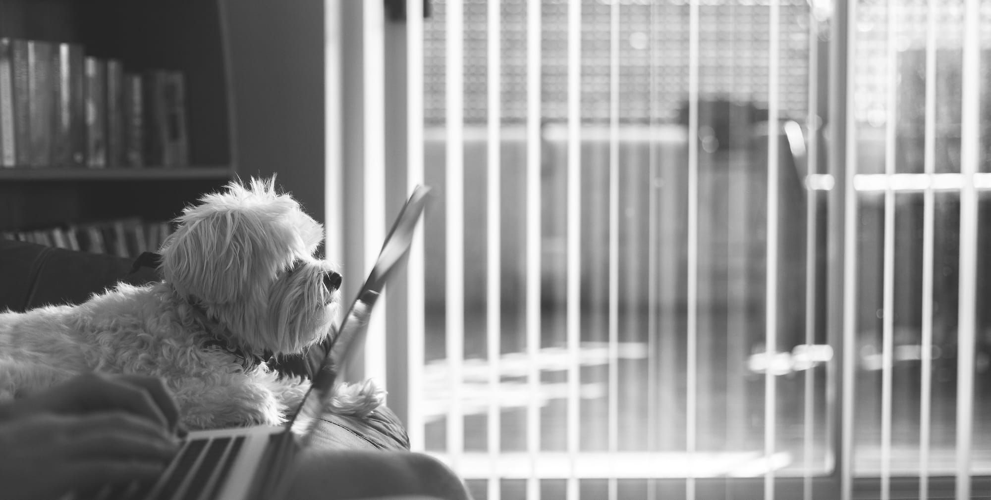 Ungrading, AI, and Feedback as Scholarly Work