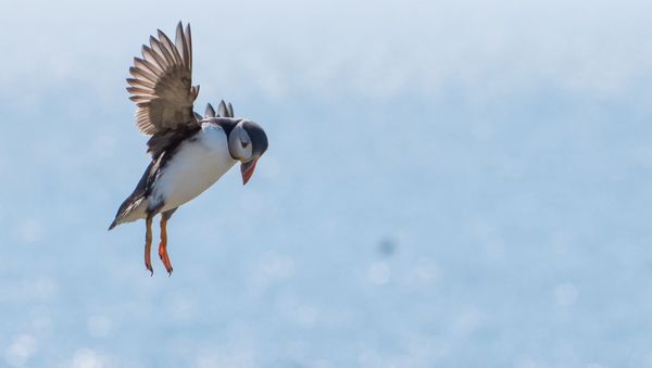 The Production of Tomorrow