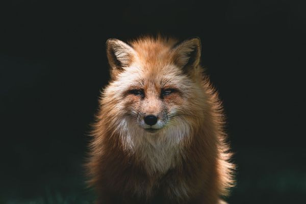 Technology is not Pedagogy