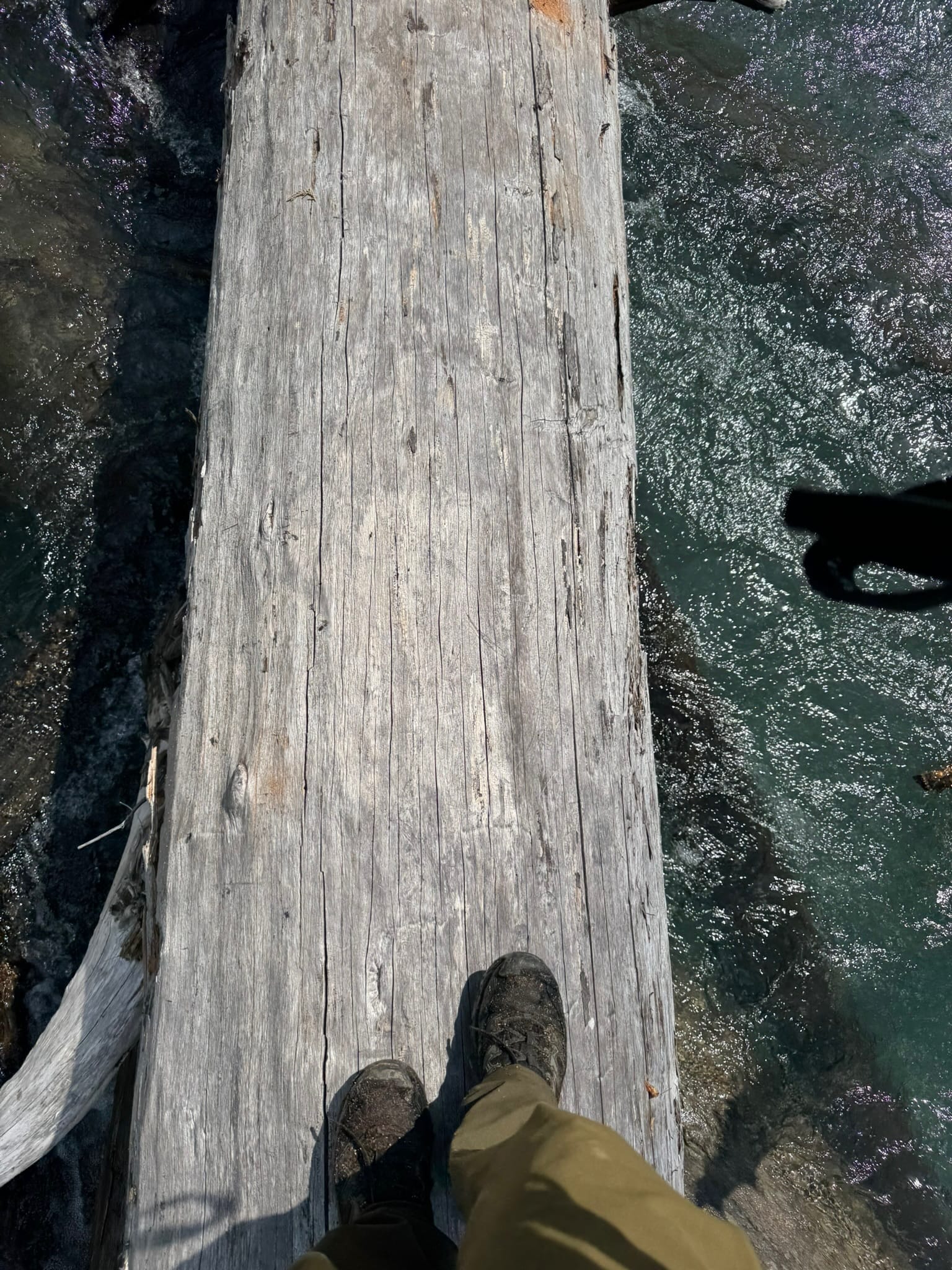 One Log to Rule Them All