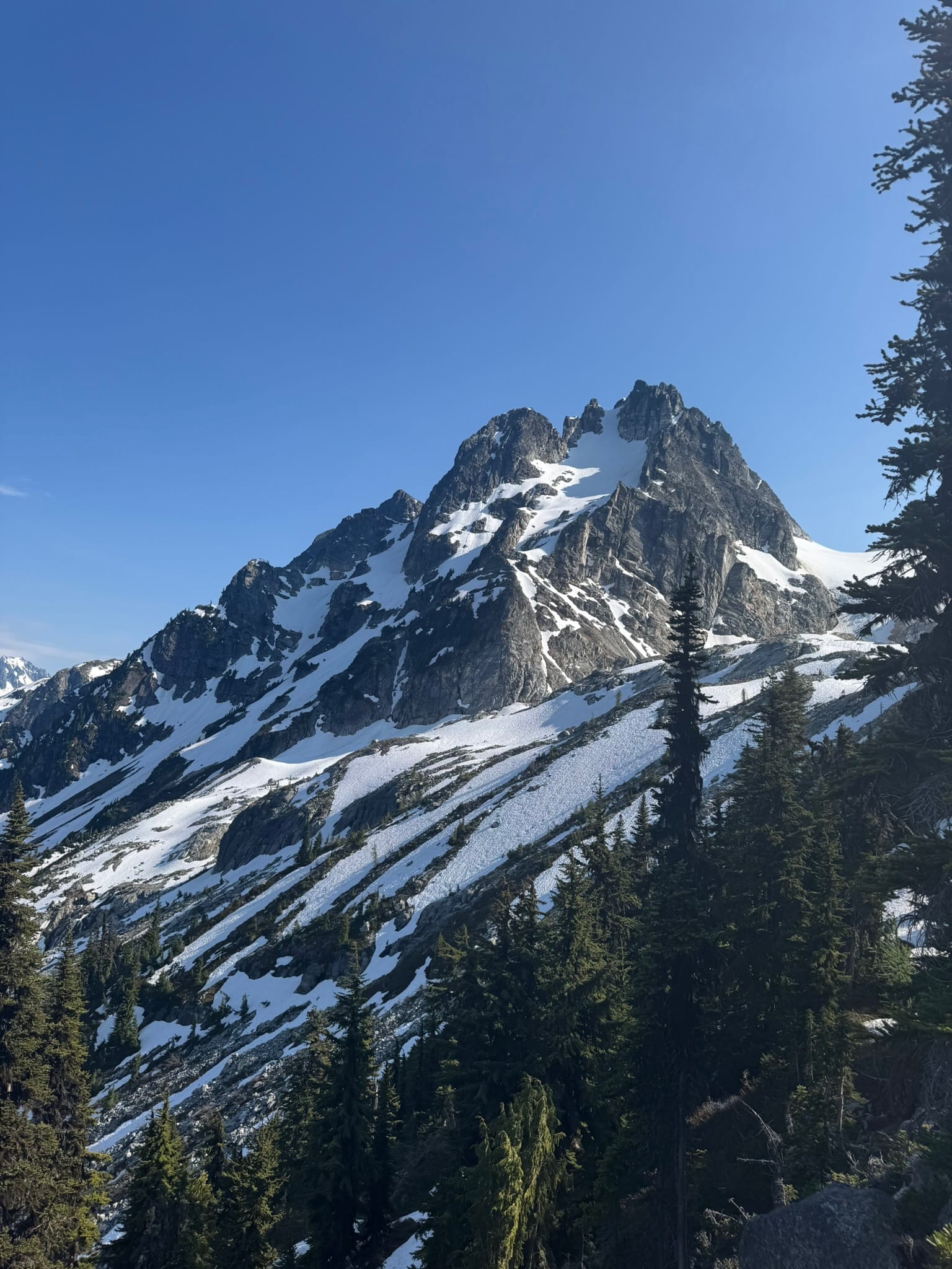 Tricouni gave me tingles for what was to come.