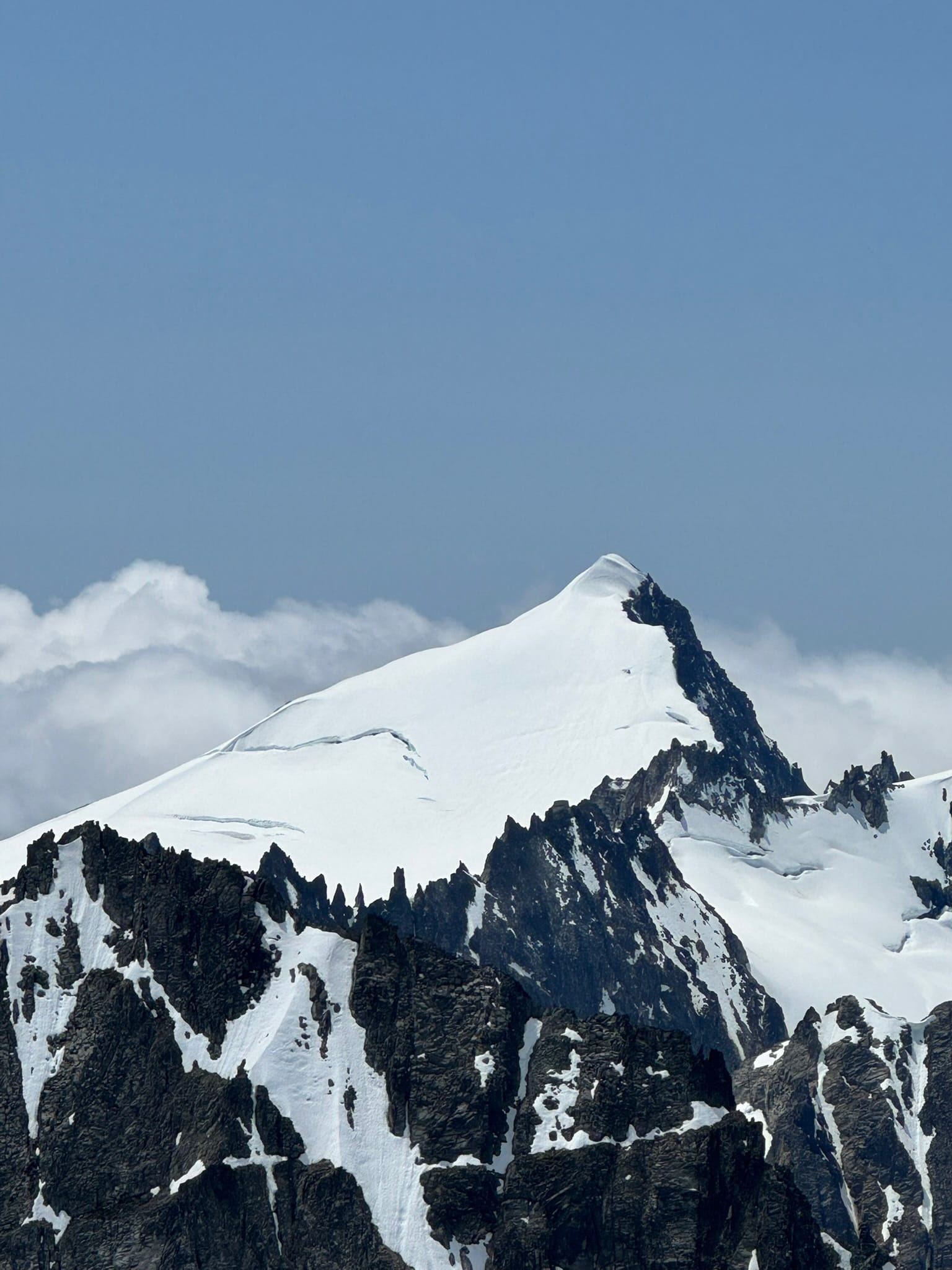 El Dorado looking so refined.