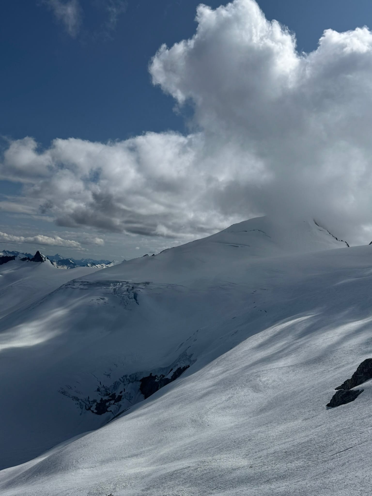 ELDORADO LOOKING SO MAGNIFICENT