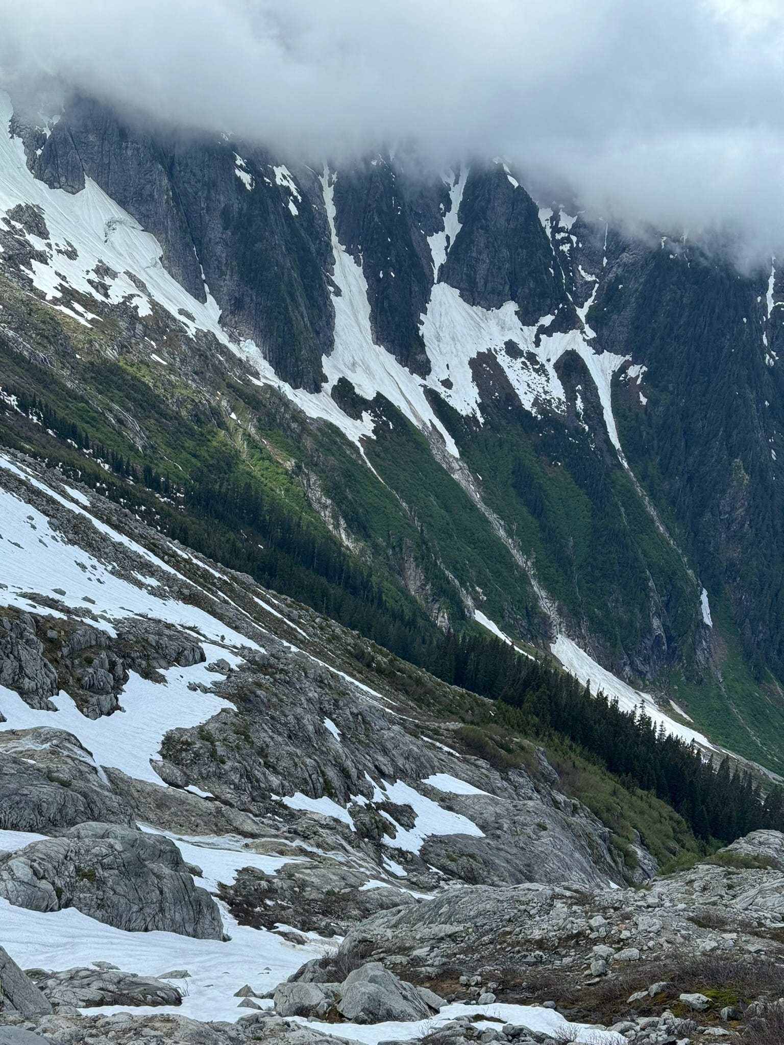 STEEP GREEN HUED, MAGNIFICENT