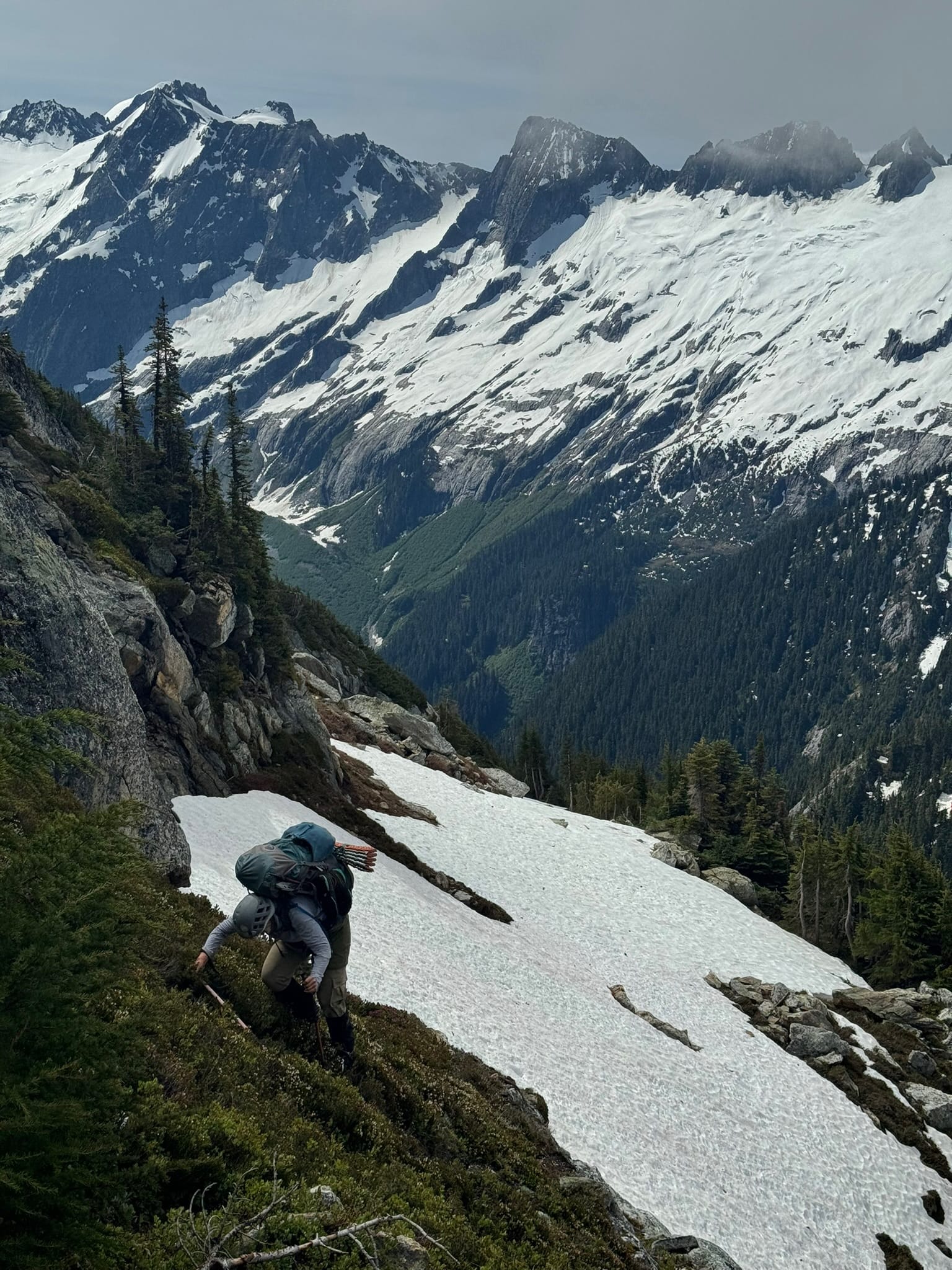 The start of multi-hour heather experience