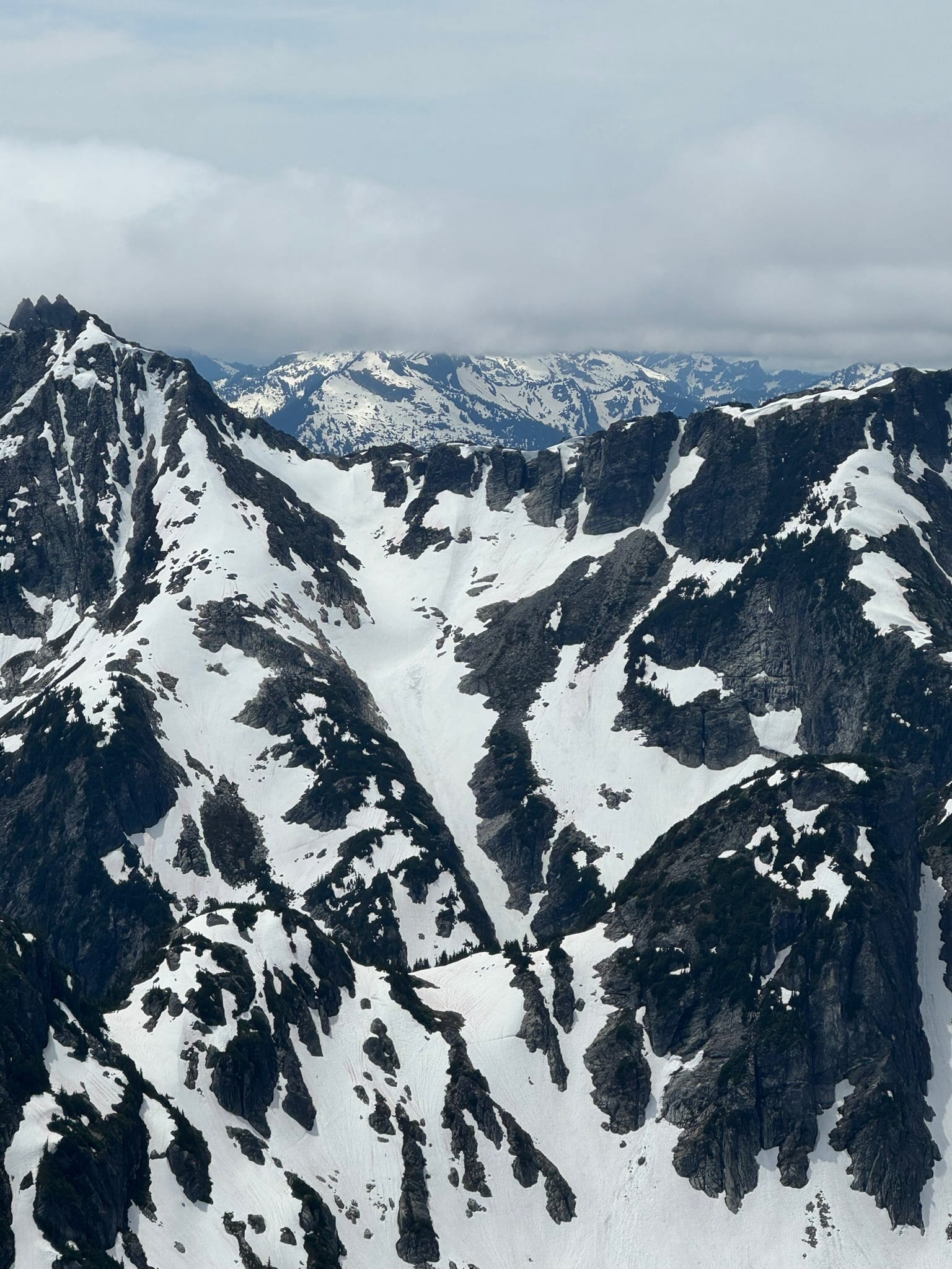 WE CAME FROM WHERE???