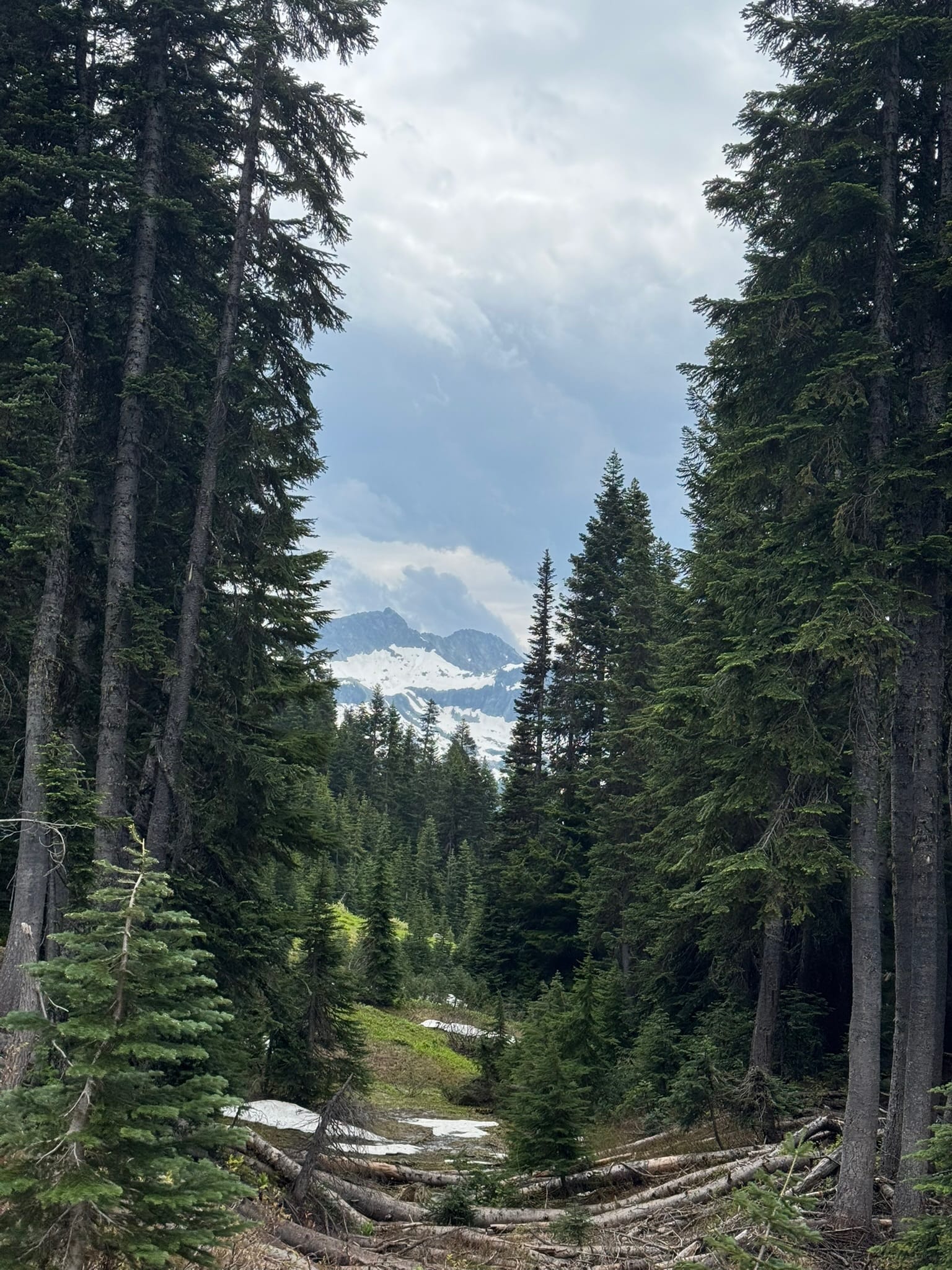 What's that pokin' out?