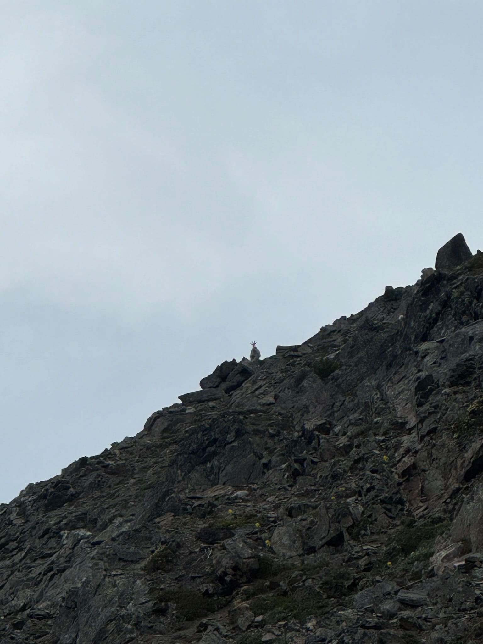 Do you ever feel...watched?