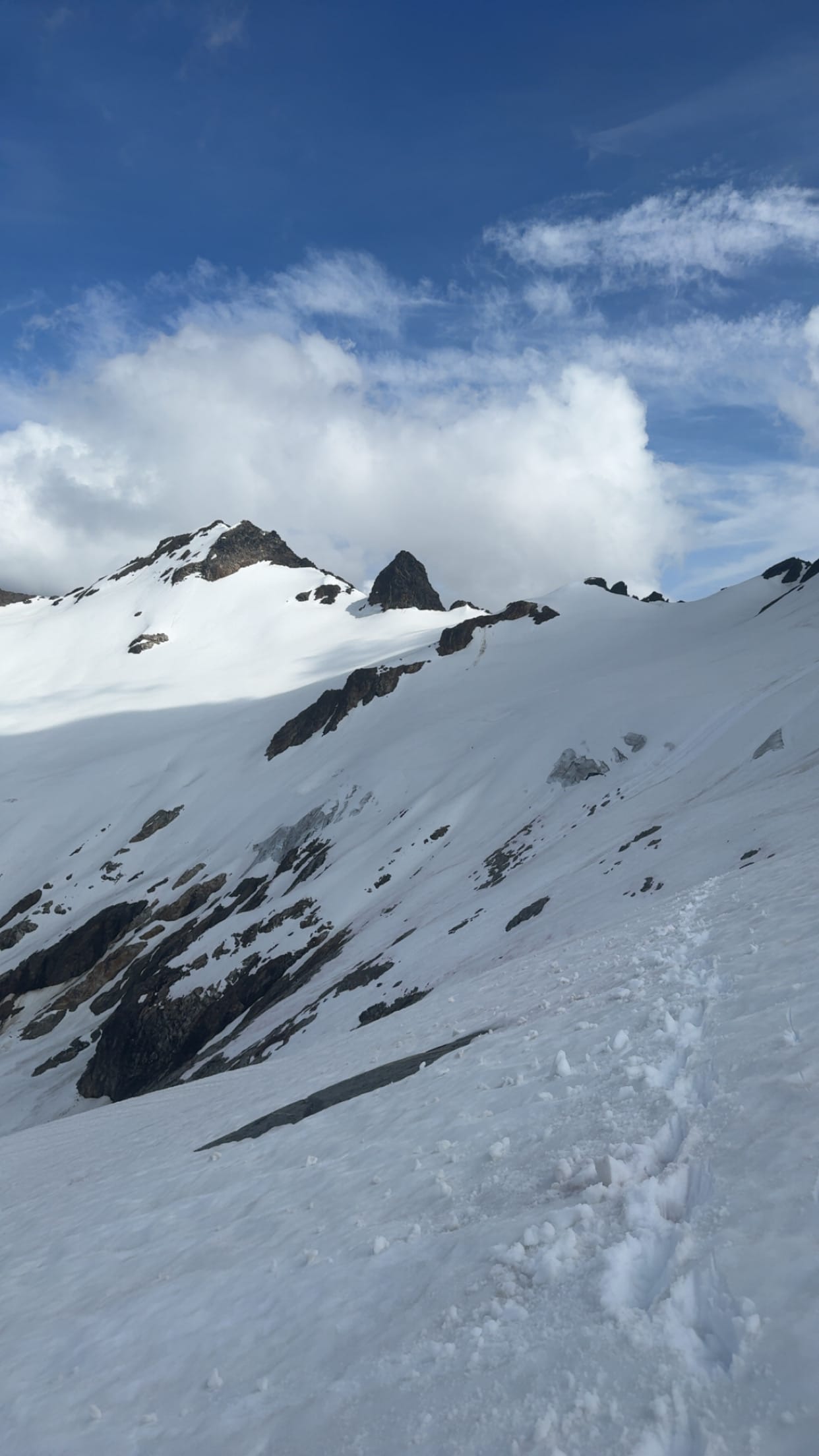 Who is following me?